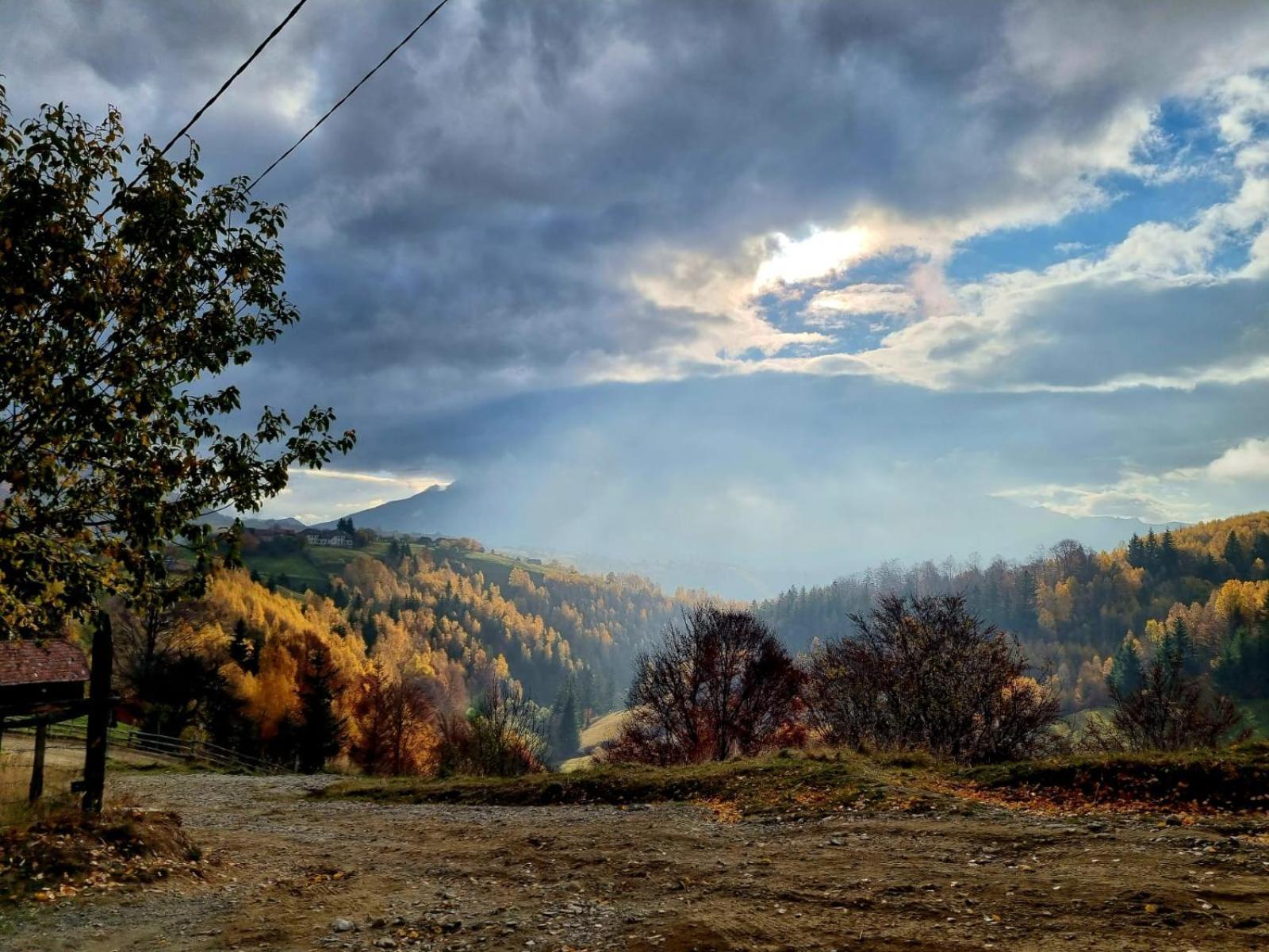 Mosorel Magura  Bagian luar foto