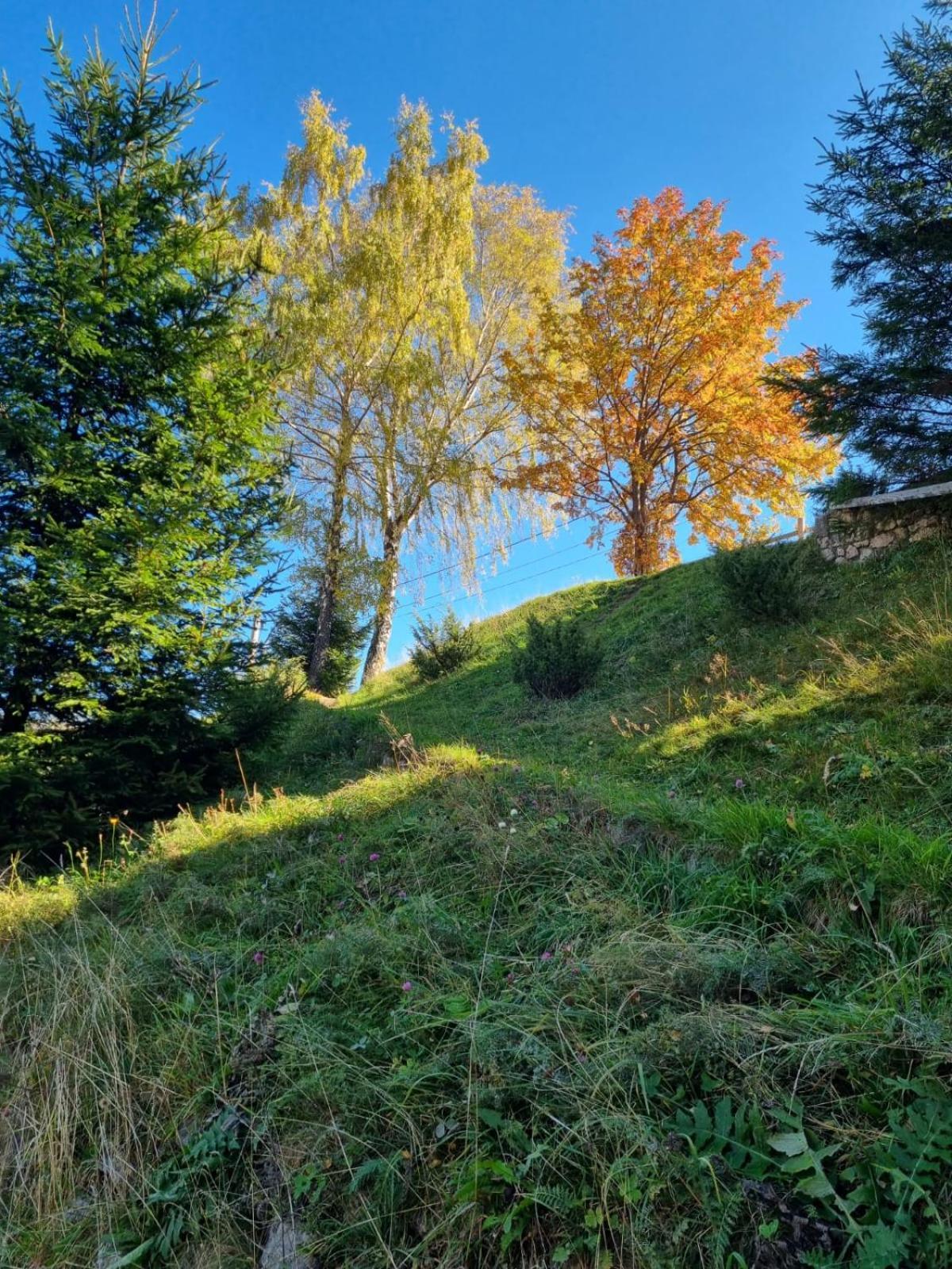 Mosorel Magura  Bagian luar foto