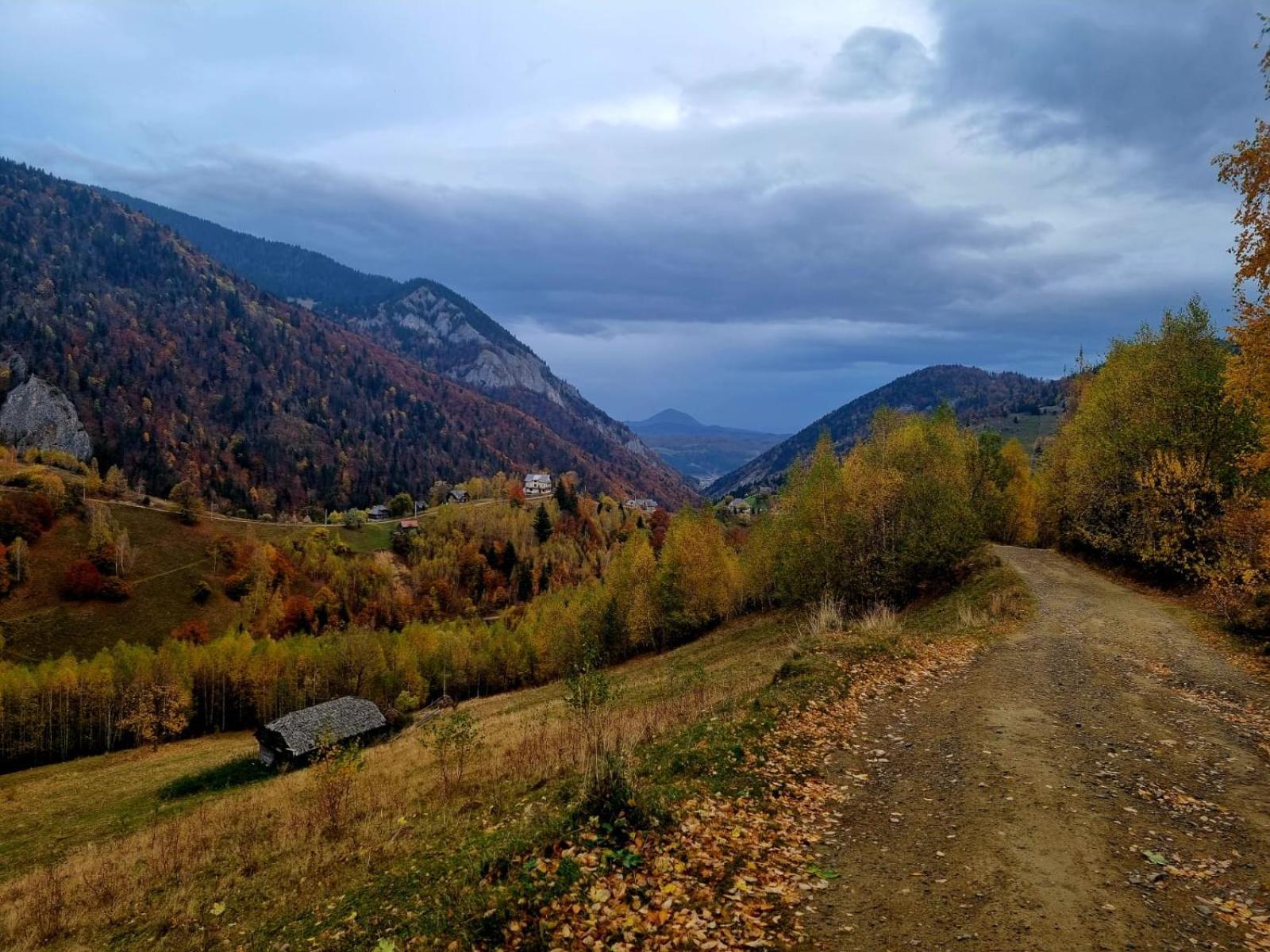 Mosorel Magura  Bagian luar foto