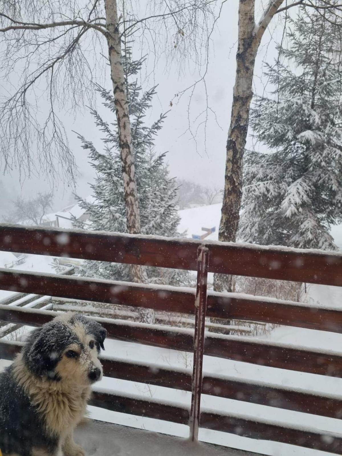 Mosorel Magura  Bagian luar foto