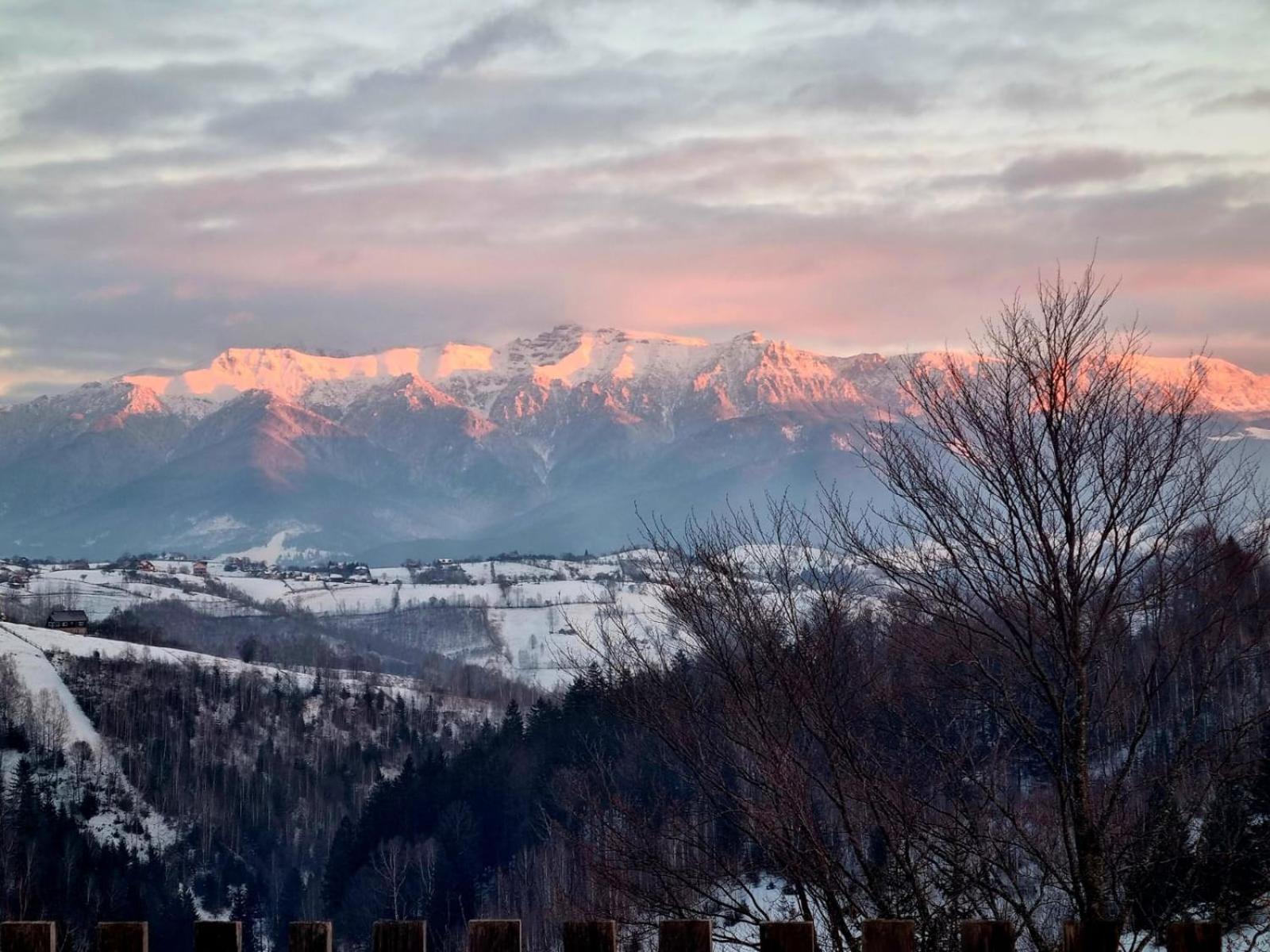 Mosorel Magura  Bagian luar foto